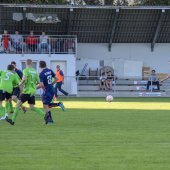Fotograf_-_Robert_Scheidl-0413.jpg