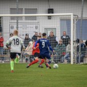 Fotograf_-_Robert_Scheidl-154_37.jpg