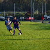 Fotograf_-_Robert_Scheidl-208_20.jpg
