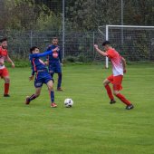Fotograf_-_Robert_Scheidl-70_59.jpg