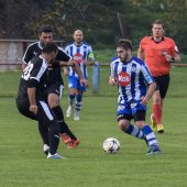 Fotograf_-_Robert_Scheidl-66_61.jpg
