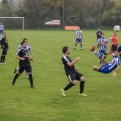 Fotograf_-_Robert_Scheidl-155_40.jpg