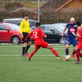 Fotograf_-_Robert_Scheidl-63_69.jpg