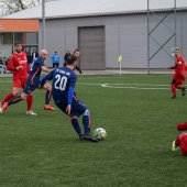 Fotograf_-_Robert_Scheidl-73_69.jpg