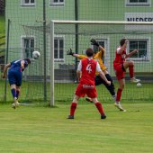 Fotograf_-_Robert_Scheidl-16_75.jpg