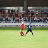 Fotograf_-_Robert_Scheidl-96_72.jpg