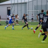 Fotograf_-_Robert_Scheidl-115_72.jpg