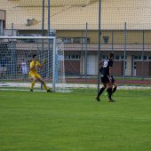 Fotograf_-_Robert_Scheidl-138_59.jpg