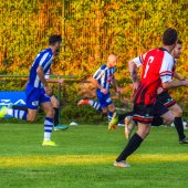 Fotograf_-_Robert_Scheidl-99_74.jpg