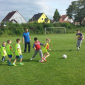 Fotograf_-_Robert_Scheidl_(3).jpg