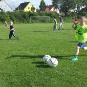 Fotograf_-_Robert_Scheidl_(10).jpg