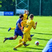 Fotograf_-_Robert_Scheidl-5_85.jpg