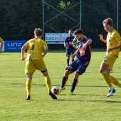 Fotograf_-_Robert_Scheidl-147_59.jpg