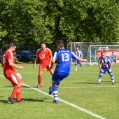 Fotograf_-_Robert_Scheidl-169_50.jpg
