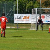 Fotograf_-_Robert_Scheidl-201_31.jpg