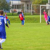 Fotograf_-_Robert_Scheidl-6_101.jpg
