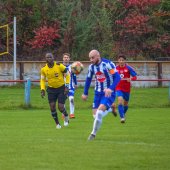 Fotograf_-_Robert_Scheidl-176_50.jpg