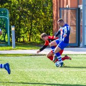Fotograf_-_Robert_Scheidl-162_63.jpg