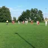 Fotograf_-_Robert_Scheidl_(44)_3.jpg