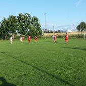 Fotograf_-_Robert_Scheidl_(51)_3.jpg