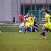 Fotograf_-_Robert_Scheidl_(34_von_205).jpg
