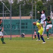 Fotograf_-_Robert_Scheidl_(65_von_205).jpg