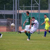 Fotograf_-_Robert_Scheidl_(66_von_205).jpg