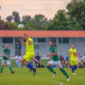 Fotograf_-_Robert_Scheidl_(84_von_205).jpg