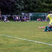 Fotograf_-_Robert_Scheidl_(145_von_205).jpg