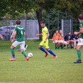 Fotograf_-_Robert_Scheidl_(153_von_205).jpg