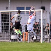 Fotograf_-_Robert_Scheidl_(8_von_198).jpg