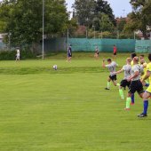 Fotograf_-_Robert_Scheidl_(37_von_198).jpg