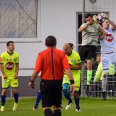 Fotograf_-_Robert_Scheidl_(39_von_198).jpg