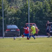 Fotograf_-_Robert_Scheidl_(7_von_200).jpg