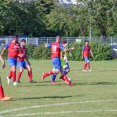 Fotograf_-_Robert_Scheidl_(43_von_200).jpg