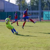 Fotograf_-_Robert_Scheidl_(136_von_200).jpg
