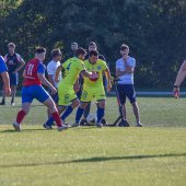 Fotograf_-_Robert_Scheidl_(153_von_200).jpg