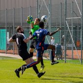 Fotograf_-_Robert_Scheidl_(25_von_139).jpg