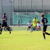 Fotograf_-_Robert_Scheidl_(4_von_125).jpg