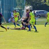 Fotograf_-_Robert_Scheidl_(13_von_125).jpg