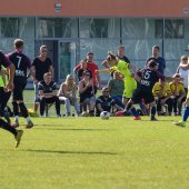 Fotograf_-_Robert_Scheidl_(44_von_125).jpg
