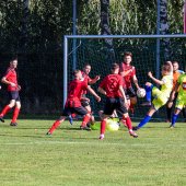 Fotograf_-_Robert_Scheidl_(14_von_124).jpg
