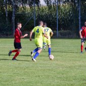Fotograf_-_Robert_Scheidl_(35_von_124).jpg