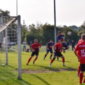 Fotograf_-_Robert_Scheidl_(49_von_145).jpg