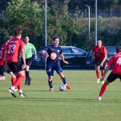 Fotograf_-_Robert_Scheidl_(144_von_145).jpg