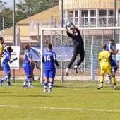 Fotograf_-_Robert_Scheidl_(3_von_42).jpg