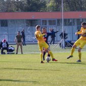 Fotograf_-_Robert_Scheidl_(8_von_155).jpg