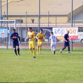 Fotograf_-_Robert_Scheidl_(10_von_155).jpg