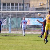 Fotograf_-_Robert_Scheidl_(14_von_155).jpg