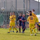Fotograf_-_Robert_Scheidl_(21_von_155).jpg